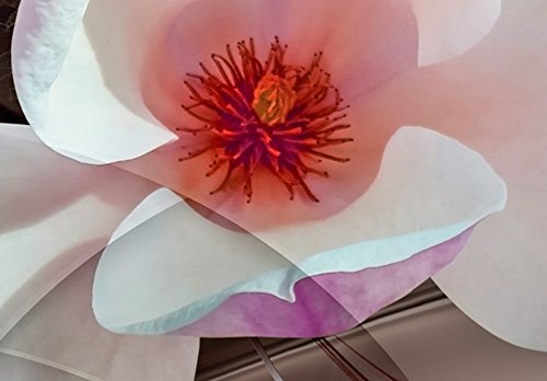 Wall Art Flowers Orchid 5pcs Home Decor Framed Stretched Picture Photo Painting Artwork for Living Room Floral Nature Botanical