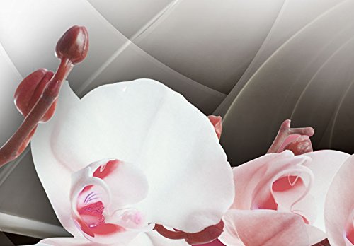 Wall Art Flowers Orchid 5pcs Home Decor Framed Stretched Picture Photo Painting Artwork for Living Room Floral Nature Botanical
