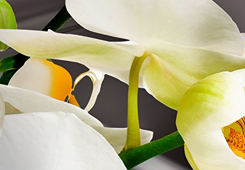 Wall Art Flowers Orchid 5pcs Home Decor Framed Stretched Picture Photo Painting Artwork for Living Room Floral Nature Botanical