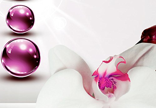 Wall Art Flowers Orchid 5pcs Home Decor Framed Stretched Picture Photo Painting Artwork for Living Room Floral Nature Botanical