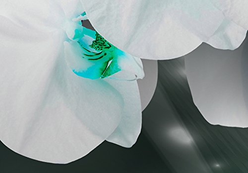 Wall Art Flowers Orchid 5pcs Home Decor Framed Stretched Picture Photo Painting Artwork for Living Room Floral Nature Botanical