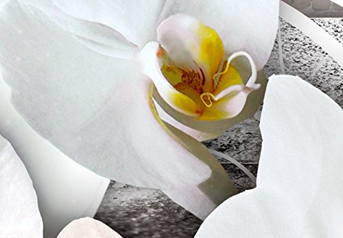 Wall Art Flowers Orchid 5pcs Home Decor Framed Stretched Picture Photo Painting Artwork for Living Room Floral Nature Botanical