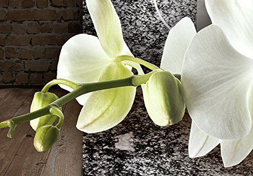 Wall Art Flowers Orchid 5pcs Home Decor Framed Stretched Picture Photo Painting Artwork for Living Room Floral Nature Botanical