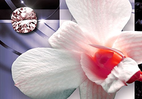 Wall Art Flowers Orchid 5pcs Home Decor Framed Stretched Picture Photo Painting Artwork for Living Room Floral Nature Botanical