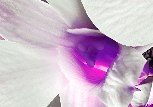 Wall Art Flowers Orchid 5pcs Home Decor Framed Stretched Picture Photo Painting Artwork for Living Room Floral Nature Botanical