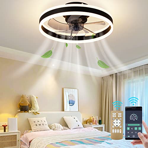CACCISUN 27" Smart Ceiling Fan with Lights and Remote