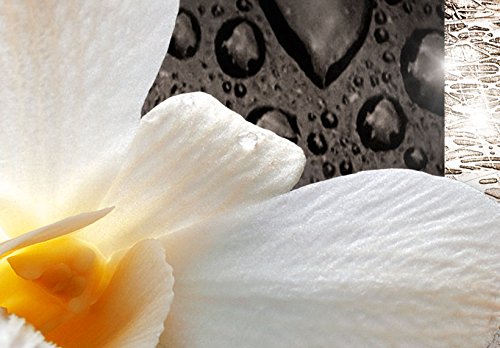 Wall Art Flowers Orchid 5pcs Home Decor Framed Stretched Picture Photo Painting Artwork for Living Room Floral Nature Botanical