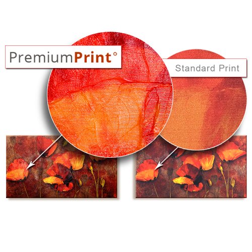 Wall Art Flowers Orchid 5pcs Home Decor Framed Stretched Picture Photo Painting Artwork for Living Room Floral Nature Botanical
