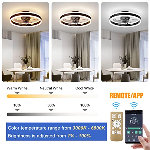 CACCISUN 27" Smart Ceiling Fan with Lights and Remote