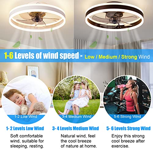 CACCISUN 27" Smart Ceiling Fan with Lights and Remote