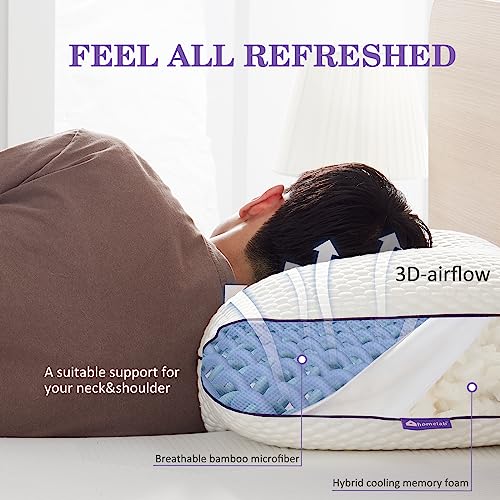 Adjustable Shredded Memory Foam Pillows Queen Size, Cooling Bed Pillows for Side Stomach & Back Sleepers, 2 Packs 20"x28"